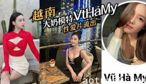 越南大奶模特#VtHaMy，性爱片流出，流出后迅速删去