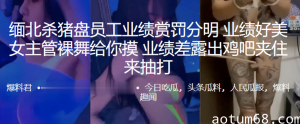 缅北杀猪盘员工业绩赏罚分明，业绩好美女主管裸舞给你摸，业绩差露出鸡吧夹住来抽打