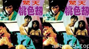 【台湾】惊天桃色劫(1993)