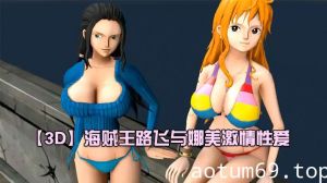 【3D】海贼王路飞与娜美激情性爱